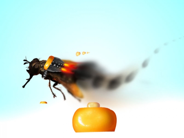 Creation of MAFLYIA: Step 11
